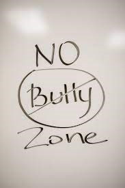no bullyng zone